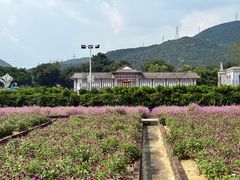 -玫瑰海岸文化旅游度假区