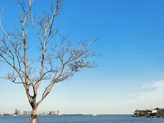 -朵云书院(滴水湖店)