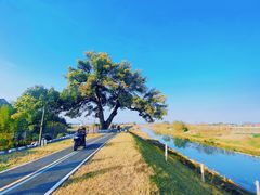-乌龙涧铁道铁轨景