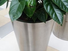 -H&M(鹏欣水游城店)