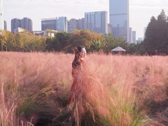 -艾溪湖湿地公园