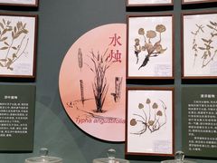 -中国湿地博物馆
