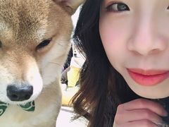 -逗柴咖啡屋·狗咖猫咖宠物桌游