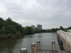 -新江湾城公园