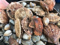 -晓伟海鲜家常菜