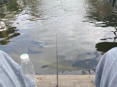 -DGE季风钓虾营地·团建·聚会