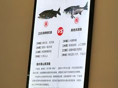 -全乐鱼馆·淳牌有机鱼直营店