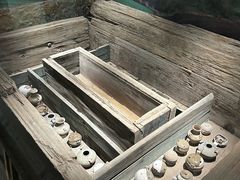 -仪征博物馆