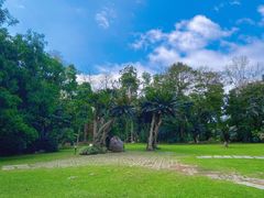 -中国科学院西双版纳热带植物园