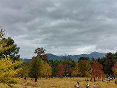 -塔川景区