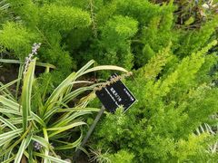 -上海植物园-4号门售票处