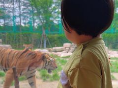 -上海野生动物园老虎餐厅