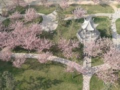 -曲阜师范大学(曲阜校区)