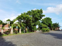 -三亚亚龙湾人间天堂鸟巢度假村