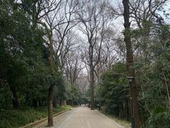 -灵谷景区
