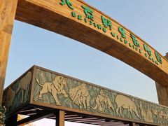 -北京野生动物园