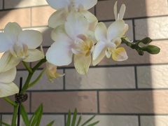 -天池会所•养生按摩•洗浴足疗