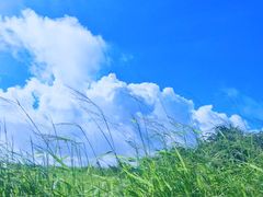 -白沙湾海滩