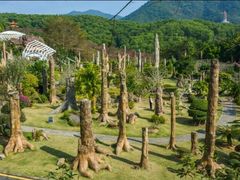 景点-深圳仙湖植物园