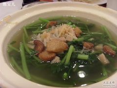 清炒春菊菜-鸿星海鲜酒家(格兰中心店)