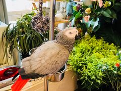 -森野花艺培训·企业团建活动沙龙