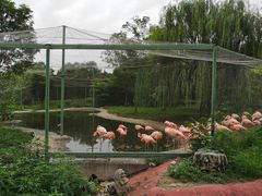 -石家庄市动物园