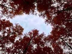 -白鹭湾湿地公园