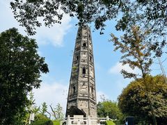 -上海佘山国家森林公园天马山园