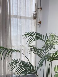 -AM半永久纹眉