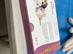 -瑞鹏宠物医院·内科·中兽医·骨科(苗圃店)
