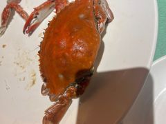 -肥福排档(星光店)