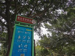 -四川大学(望江校区)