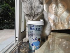 -茶百道(爱融荟城店)