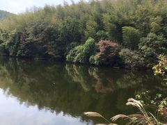-石塘人家
