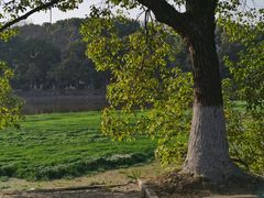 -谷咖啡·鲜花绿植花园餐厅