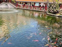 -番禺宾馆丽苑厅