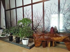 -望海·帆船主题咖啡厅•品茗下午茶(石湖景区店)