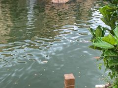 -田园寨农园观光园