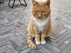 -CHURCH  BISTRO 教堂·餐吧