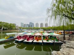 -团结湖公园