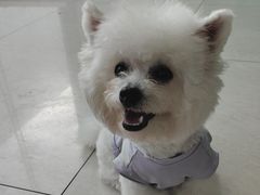 -乐琪宠物医院·犬猫专科·骨外科·急重症