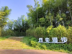 -蜀南竹海景区