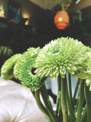 -花隐·美芙炫海菲秀皮肤管理中心