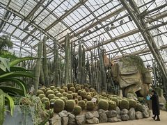 -南山植物园