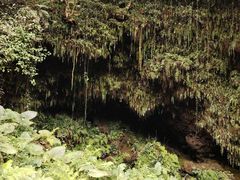 -海口火山口国家地质公园