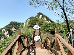 -大岭沟猕猴桃谷风景区