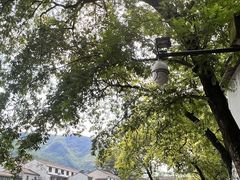-鹿亭中村