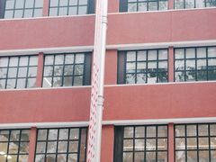 -米椰湘·辣椒炒肉