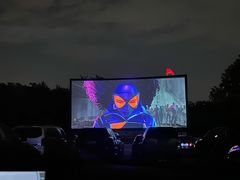 -枫花园汽车电影院(朝阳公园店)