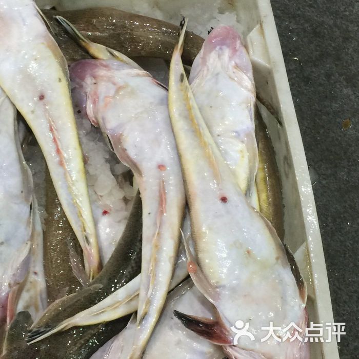 金江海鲜大酒店图片 - 第24张